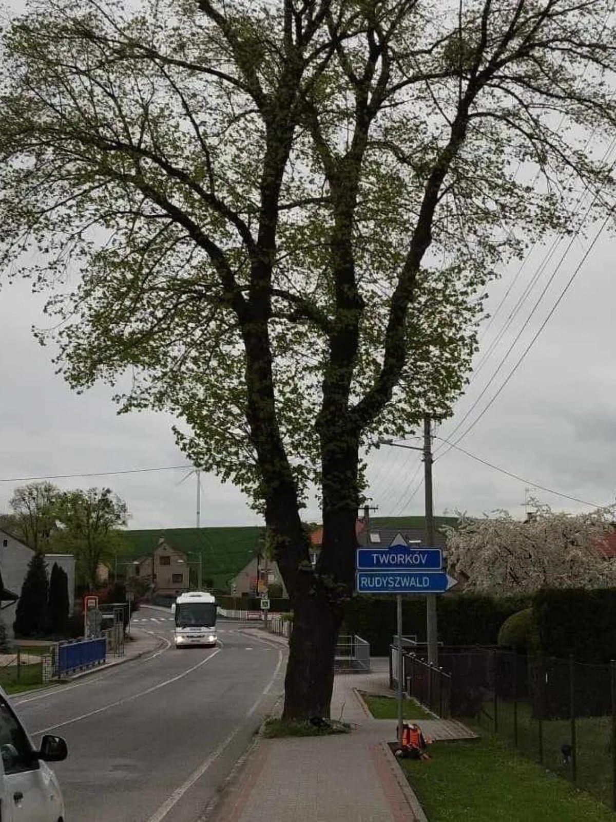 Dle Zájmu
